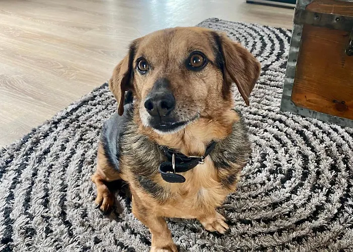 Panzió Douceur Angevine